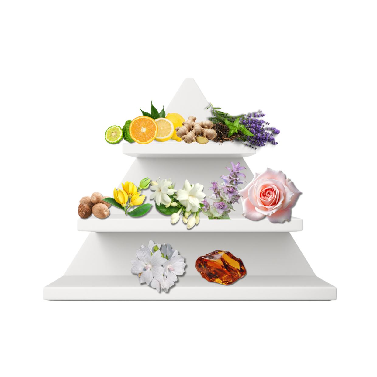 Shanghai Spice Duftpyramide